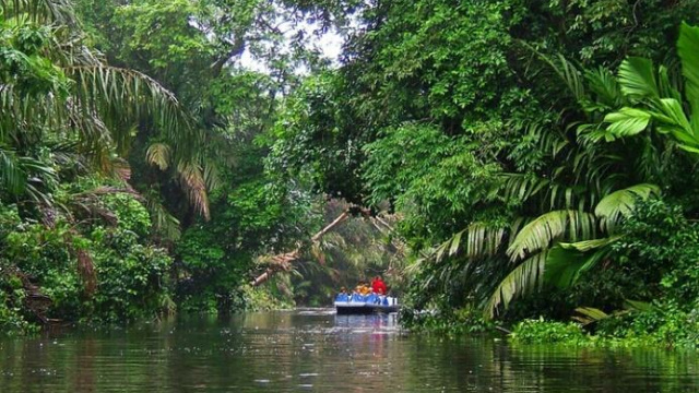 Tortuguero