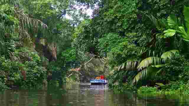 Tortuguero