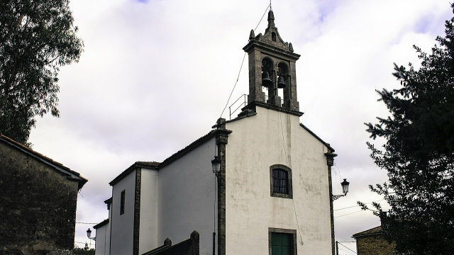 O Pino