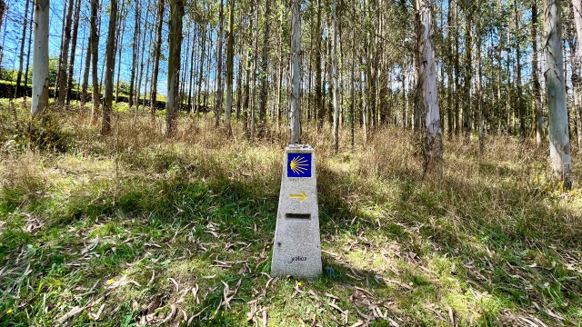 Camino de Santiago