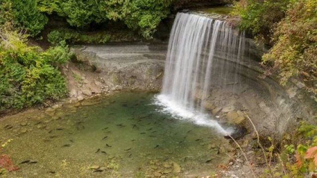 BRIDAL VEIL FALLS TRAIL SYSTEM